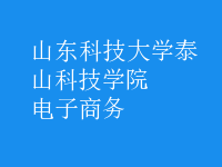 電子商務(wù)
