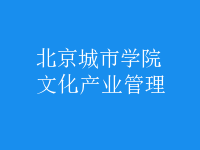 文化產業(yè)管理