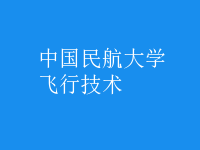 飛行技術