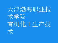 有機化工生產(chǎn)技術(shù)