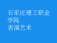 表演藝術(shù)