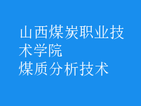 煤質分析技術