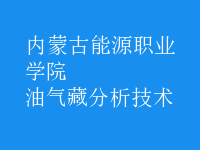 油氣藏分析技術