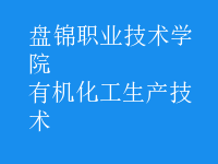 有機化工生產(chǎn)技術(shù)