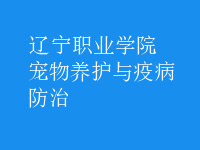 寵物養(yǎng)護(hù)與疫病防治
