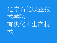 有機化工生產(chǎn)技術(shù)