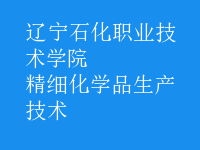 精細(xì)化學(xué)品生產(chǎn)技術(shù)
