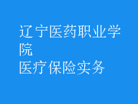 醫(yī)療保險實務