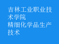 精細(xì)化學(xué)品生產(chǎn)技術(shù)