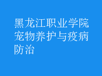 寵物養(yǎng)護(hù)與疫病防治
