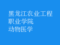 動(dòng)物醫(yī)學(xué)