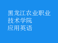 應(yīng)用英語