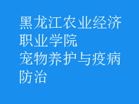 寵物養(yǎng)護(hù)與疫病防治
