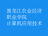 計算機應(yīng)用技術(shù)
