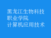 計算機應(yīng)用技術(shù)