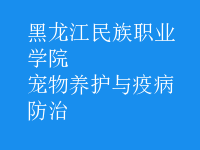 寵物養(yǎng)護(hù)與疫病防治