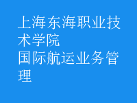 國(guó)際航運(yùn)業(yè)務(wù)管理