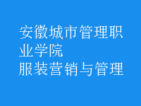 服裝營(yíng)銷與管理