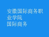 國際商務(wù)