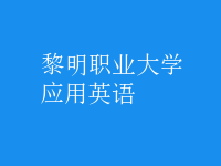 應(yīng)用英語(yǔ)