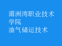 油氣儲運技術
