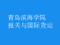 報(bào)關(guān)與國(guó)際貨運(yùn)