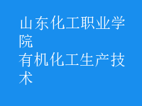 有機化工生產(chǎn)技術(shù)