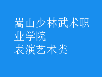 表演藝術(shù)類