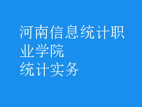 統(tǒng)計實務(wù)