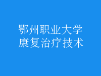 康復治療技術