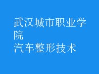 汽車(chē)整形技術(shù)