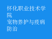寵物養(yǎng)護(hù)與疫病防治