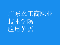 應(yīng)用英語