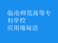 應(yīng)用緬甸語(yǔ)