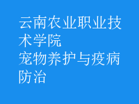 寵物養(yǎng)護(hù)與疫病防治