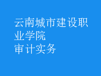 審計實務