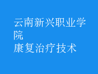 康復(fù)治療技術(shù)