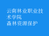 森林資源保護