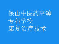 康復(fù)治療技術(shù)
