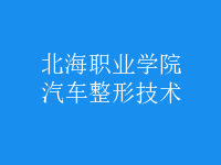 汽車整形技術