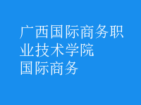 國際商務(wù)