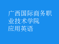 應(yīng)用英語(yǔ)