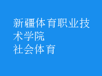 社會(huì)體育