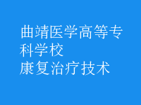 康復(fù)治療技術(shù)