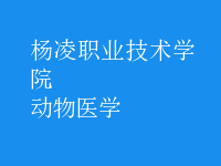 動(dòng)物醫(yī)學(xué)