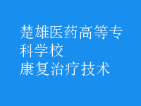 康復(fù)治療技術(shù)