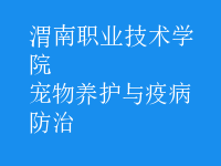寵物養(yǎng)護(hù)與疫病防治