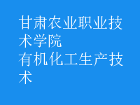 有機化工生產(chǎn)技術(shù)
