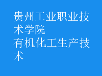 有機化工生產(chǎn)技術(shù)