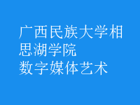 數(shù)字媒體藝術(shù)